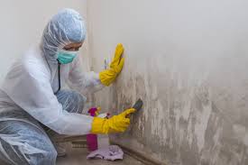 Best Forensic Mold Investigation  in Atkinson, NE